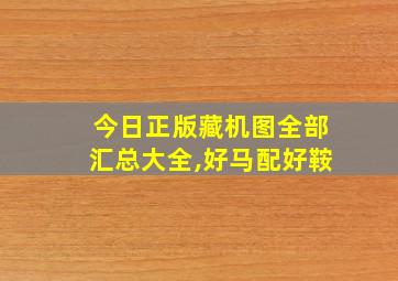 今日正版藏机图全部汇总大全,好马配好鞍