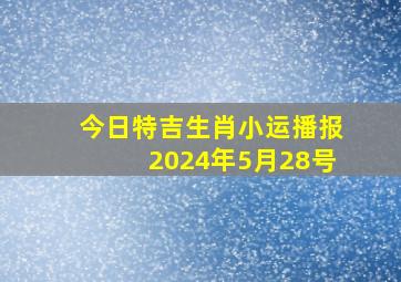 今日特吉生肖小运播报2024年5月28号