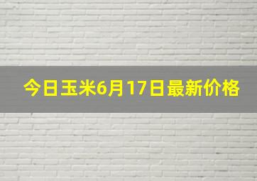 今日玉米6月17日最新价格