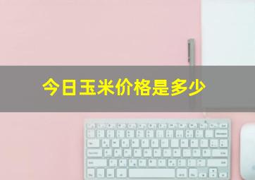 今日玉米价格是多少