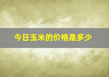 今日玉米的价格是多少