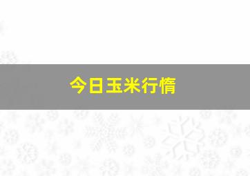 今日玉米行惰