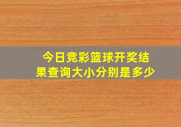 今日竞彩篮球开奖结果查询大小分别是多少