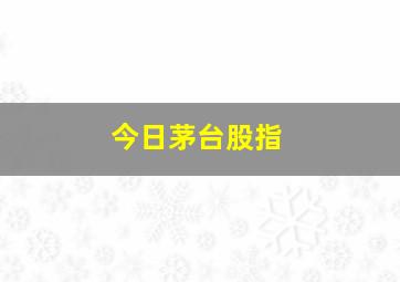 今日茅台股指