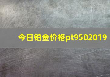 今日铂金价格pt9502019