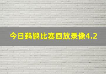 今日鹈鹕比赛回放录像4.2