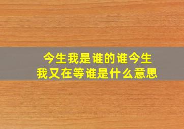 今生我是谁的谁今生我又在等谁是什么意思