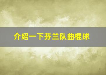 介绍一下芬兰队曲棍球