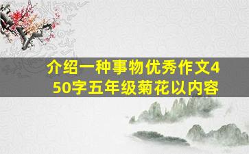 介绍一种事物优秀作文450字五年级菊花以内容