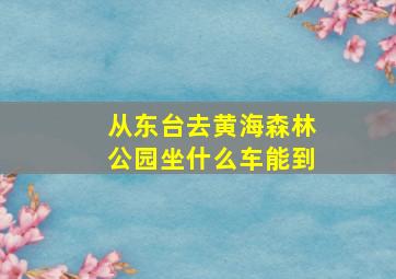 从东台去黄海森林公园坐什么车能到