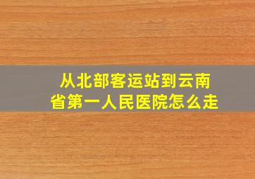 从北部客运站到云南省第一人民医院怎么走