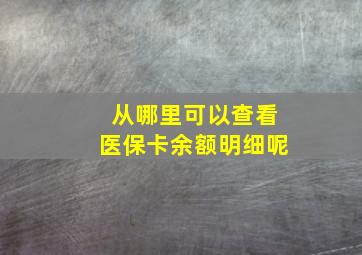 从哪里可以查看医保卡余额明细呢