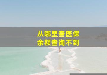 从哪里查医保余额查询不到