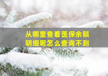 从哪里查看医保余额明细呢怎么查询不到