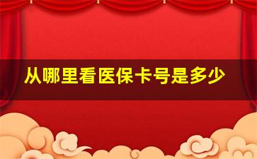 从哪里看医保卡号是多少