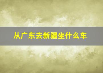 从广东去新疆坐什么车