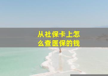 从社保卡上怎么查医保的钱