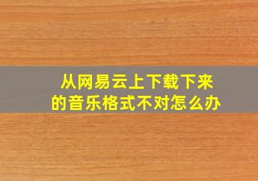 从网易云上下载下来的音乐格式不对怎么办