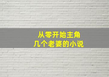 从零开始主角几个老婆的小说