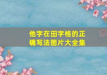 他字在田字格的正确写法图片大全集