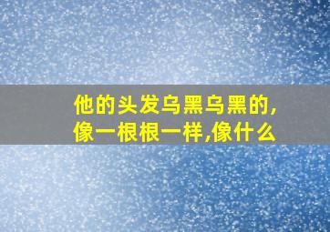 他的头发乌黑乌黑的,像一根根一样,像什么