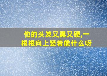 他的头发又黑又硬,一根根向上竖着像什么呀