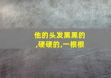 他的头发黑黑的,硬硬的,一根根