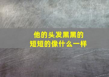 他的头发黑黑的短短的像什么一样