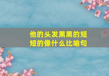 他的头发黑黑的短短的像什么比喻句