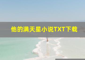 他的满天星小说TXT下载