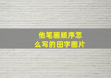 他笔画顺序怎么写的田字图片