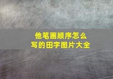 他笔画顺序怎么写的田字图片大全