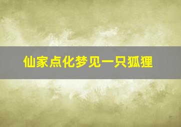 仙家点化梦见一只狐狸