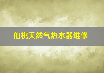 仙桃天然气热水器维修