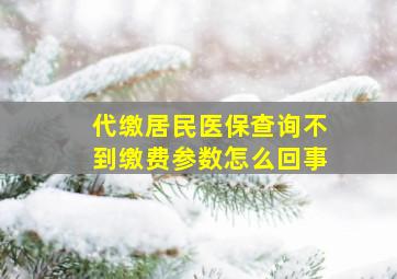 代缴居民医保查询不到缴费参数怎么回事