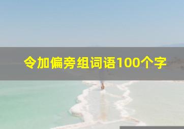 令加偏旁组词语100个字