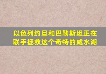 以色列约旦和巴勒斯坦正在联手拯救这个奇特的咸水湖