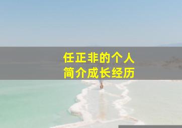 任正非的个人简介成长经历