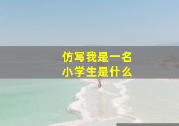 仿写我是一名小学生是什么