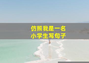 仿照我是一名小学生写句子