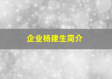 企业杨建生简介