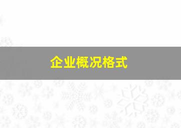 企业概况格式