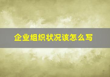 企业组织状况该怎么写