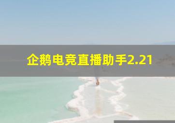 企鹅电竞直播助手2.21