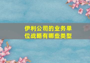 伊利公司的业务单位战略有哪些类型