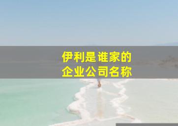 伊利是谁家的企业公司名称