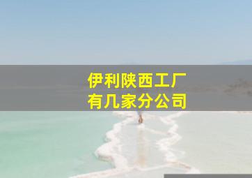 伊利陕西工厂有几家分公司