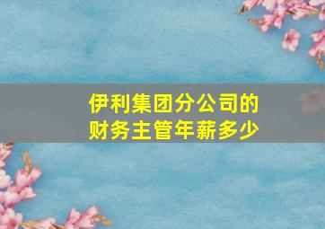 伊利集团分公司的财务主管年薪多少