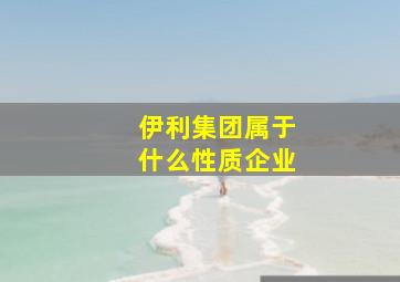 伊利集团属于什么性质企业