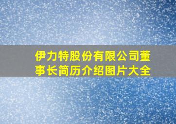 伊力特股份有限公司董事长简历介绍图片大全